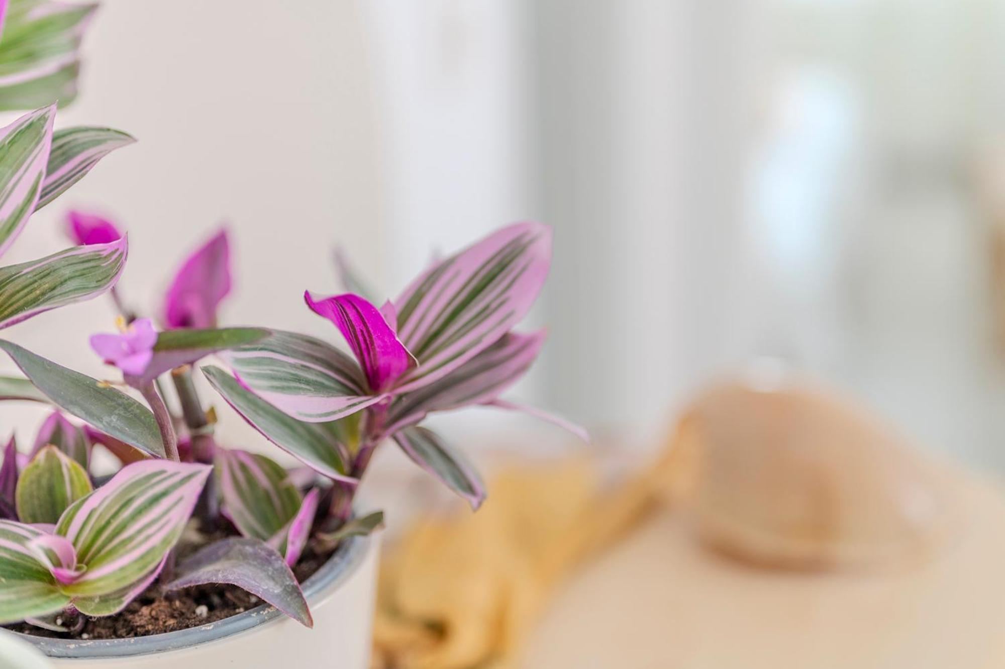 Stamatia Suites Asprovalta Exteriör bild